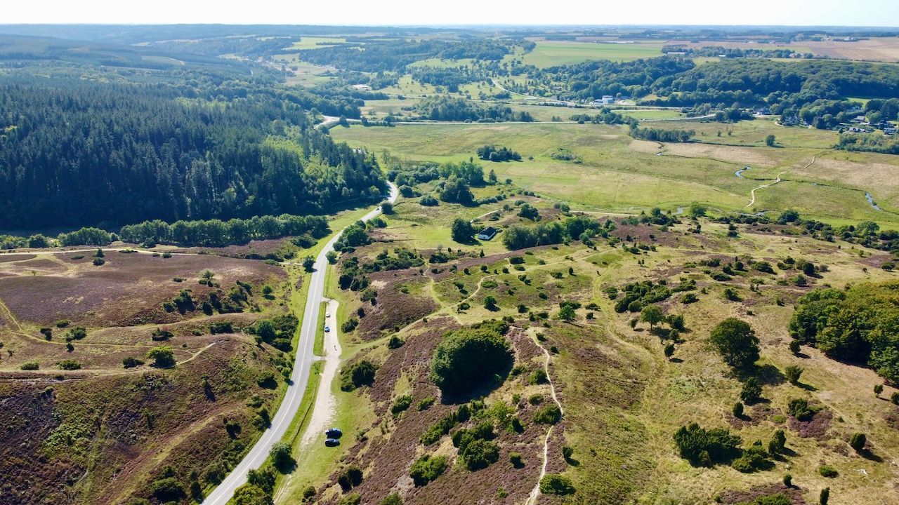Nationalpark Rold Skov