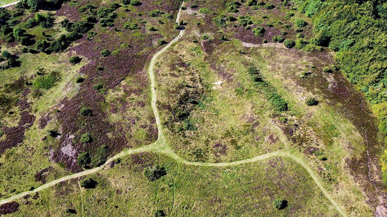 Nationalpark Rold Skov