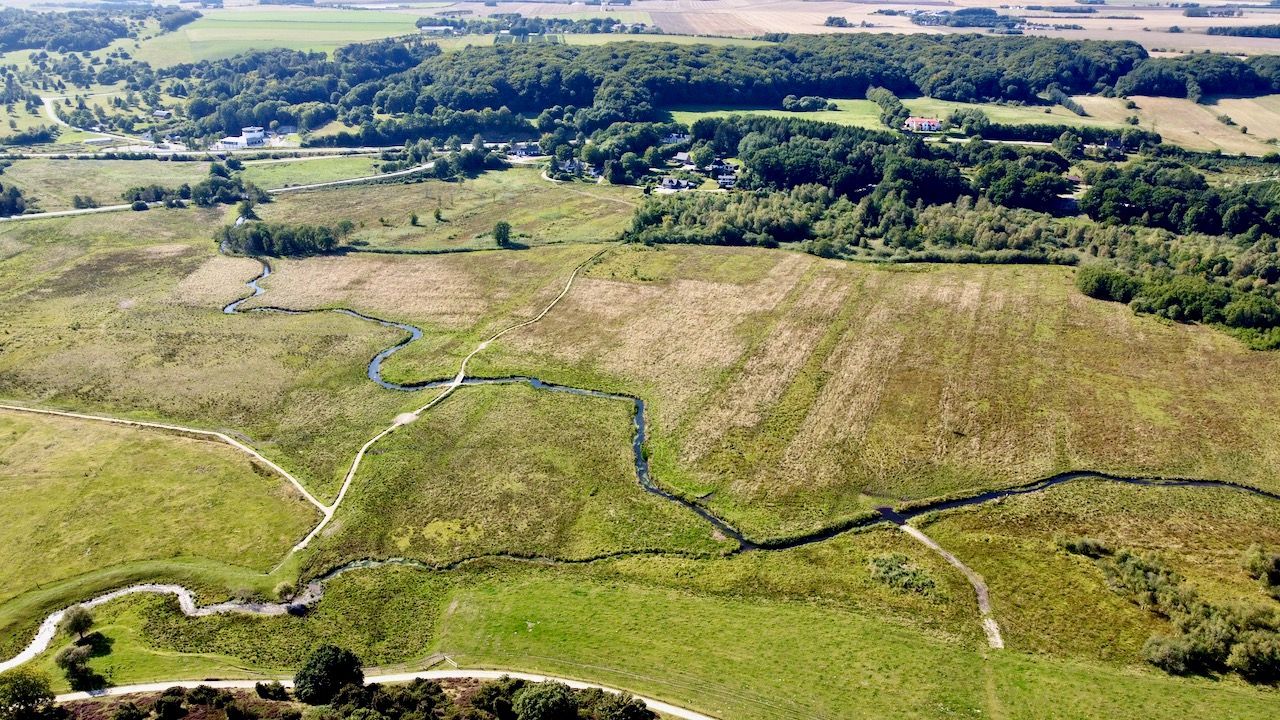 Nationalpark Rold Skov