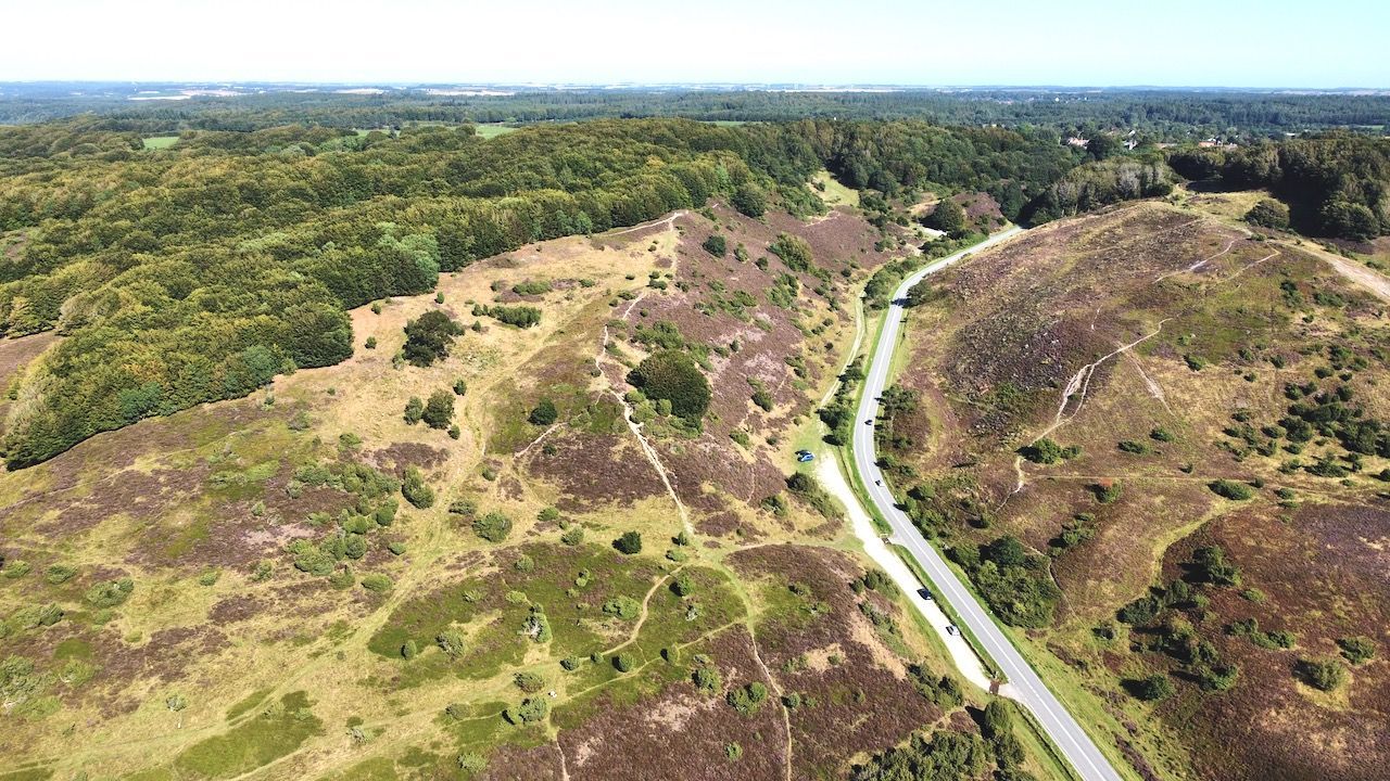 Nationalpark Rold Skov