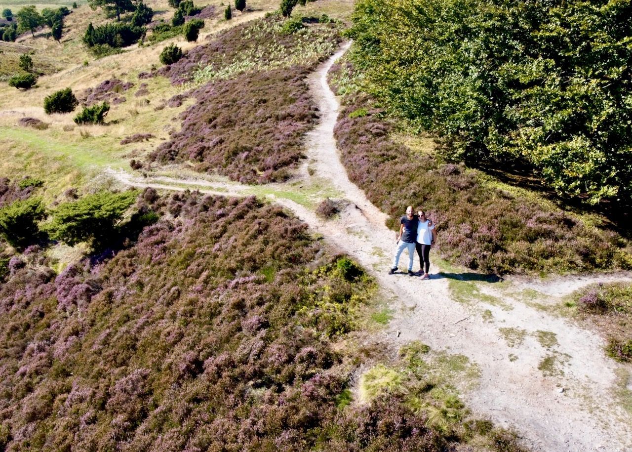 Nationalpark Rold Skov