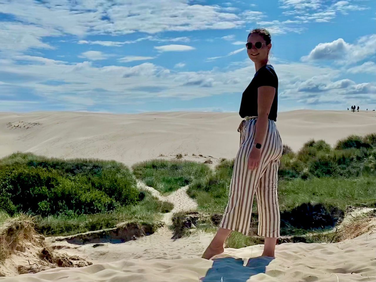 Wanderdüne Råbjerg Mile