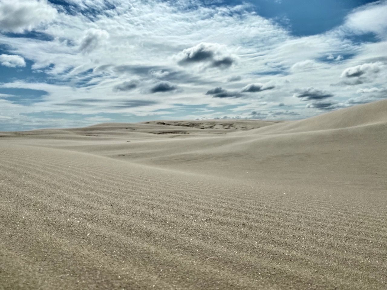 Wanderdüne Råbjerg Mile