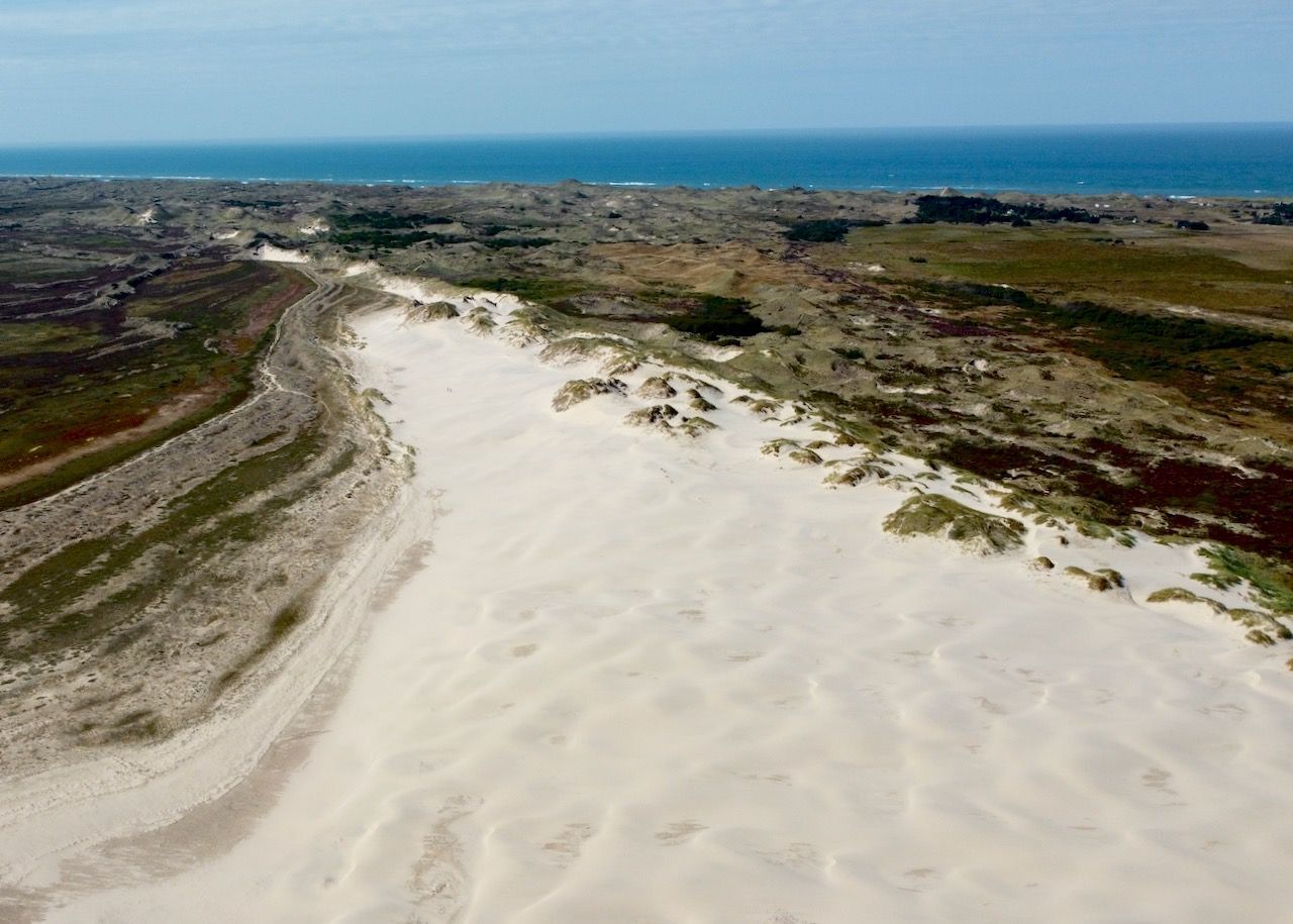 Wanderdüne Råbjerg Mile