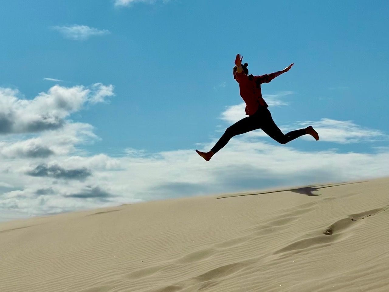 Wanderdüne Råbjerg Mile