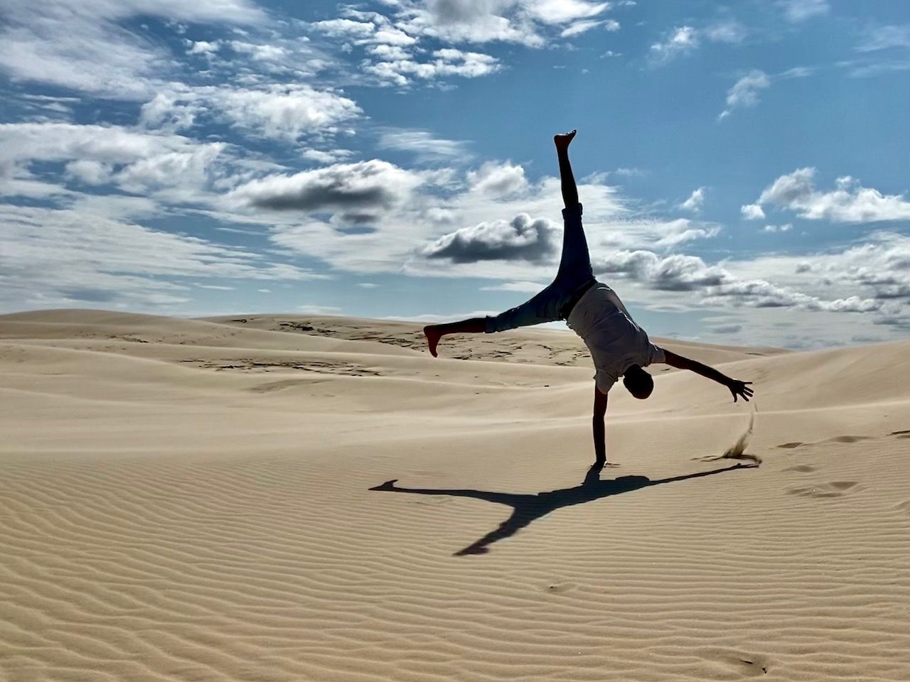 Wanderdüne Råbjerg Mile