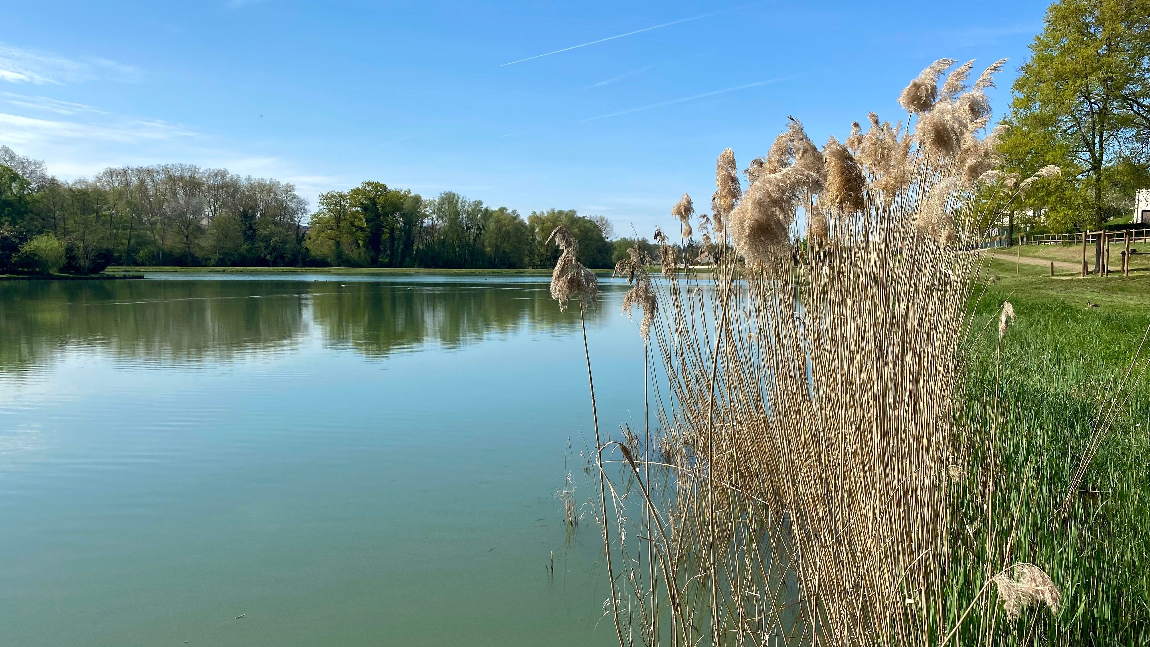 Stellplatz direkt am See