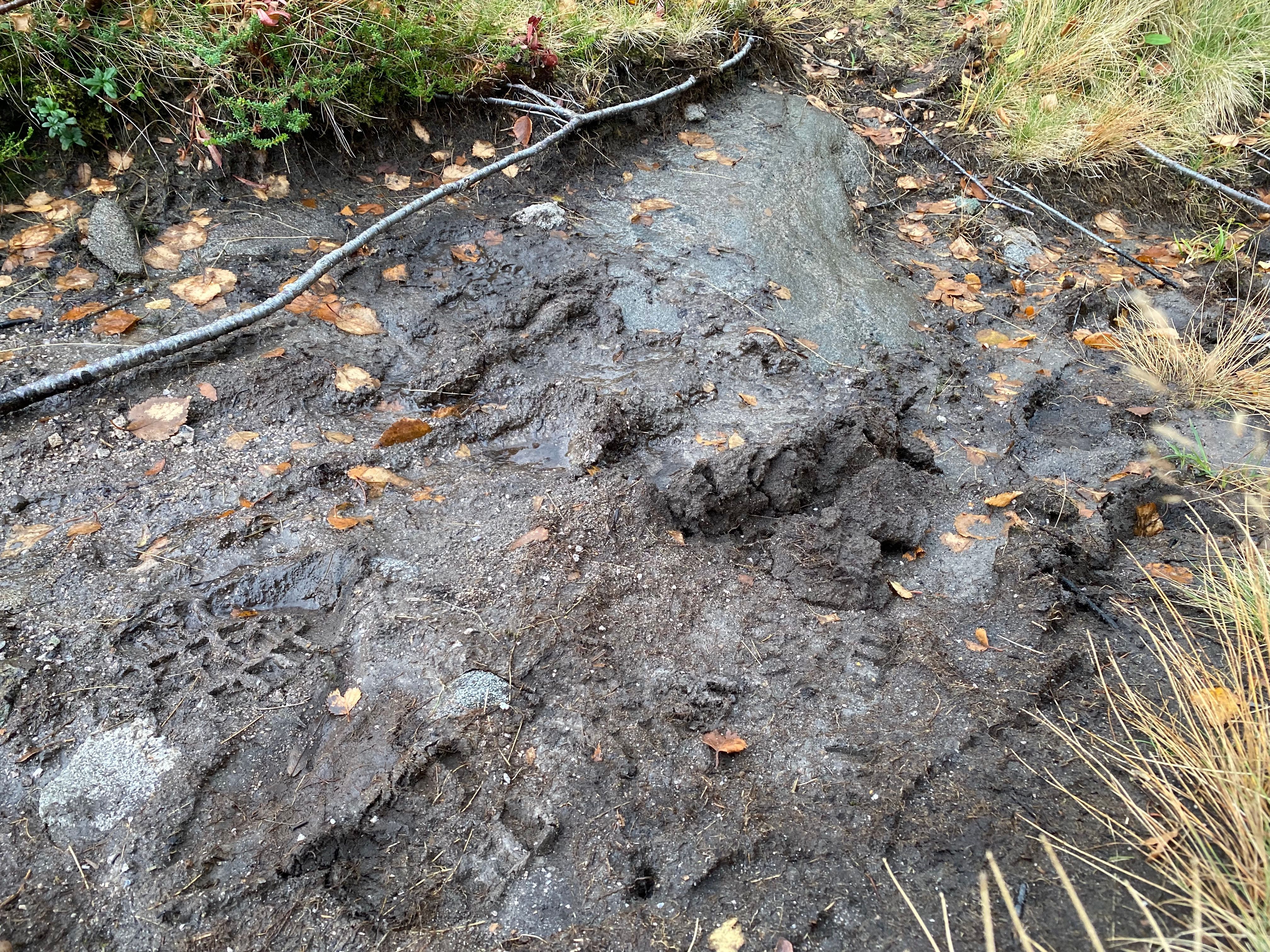 Å – Schlammschlacht