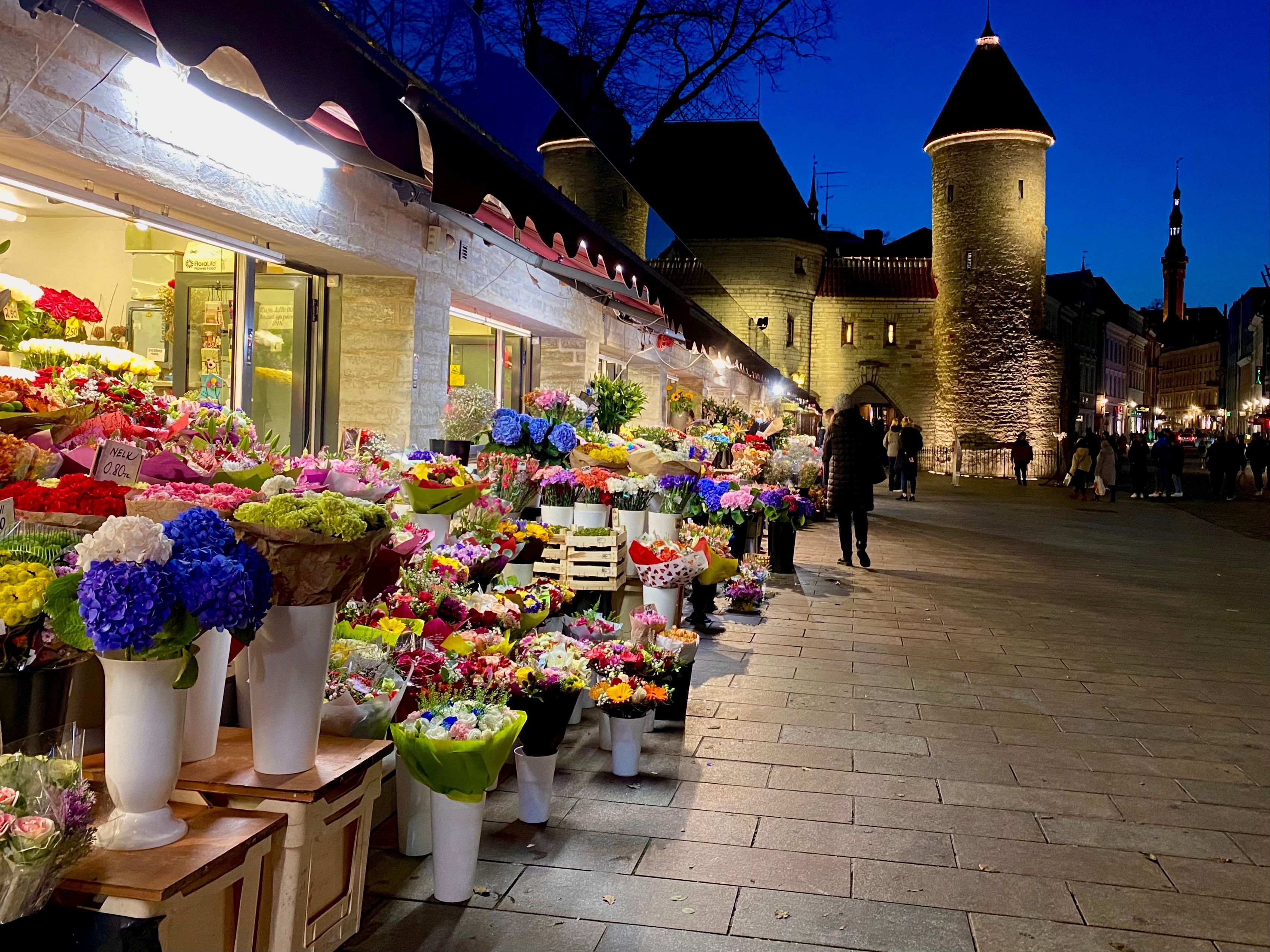 Blumen vor Tallinn