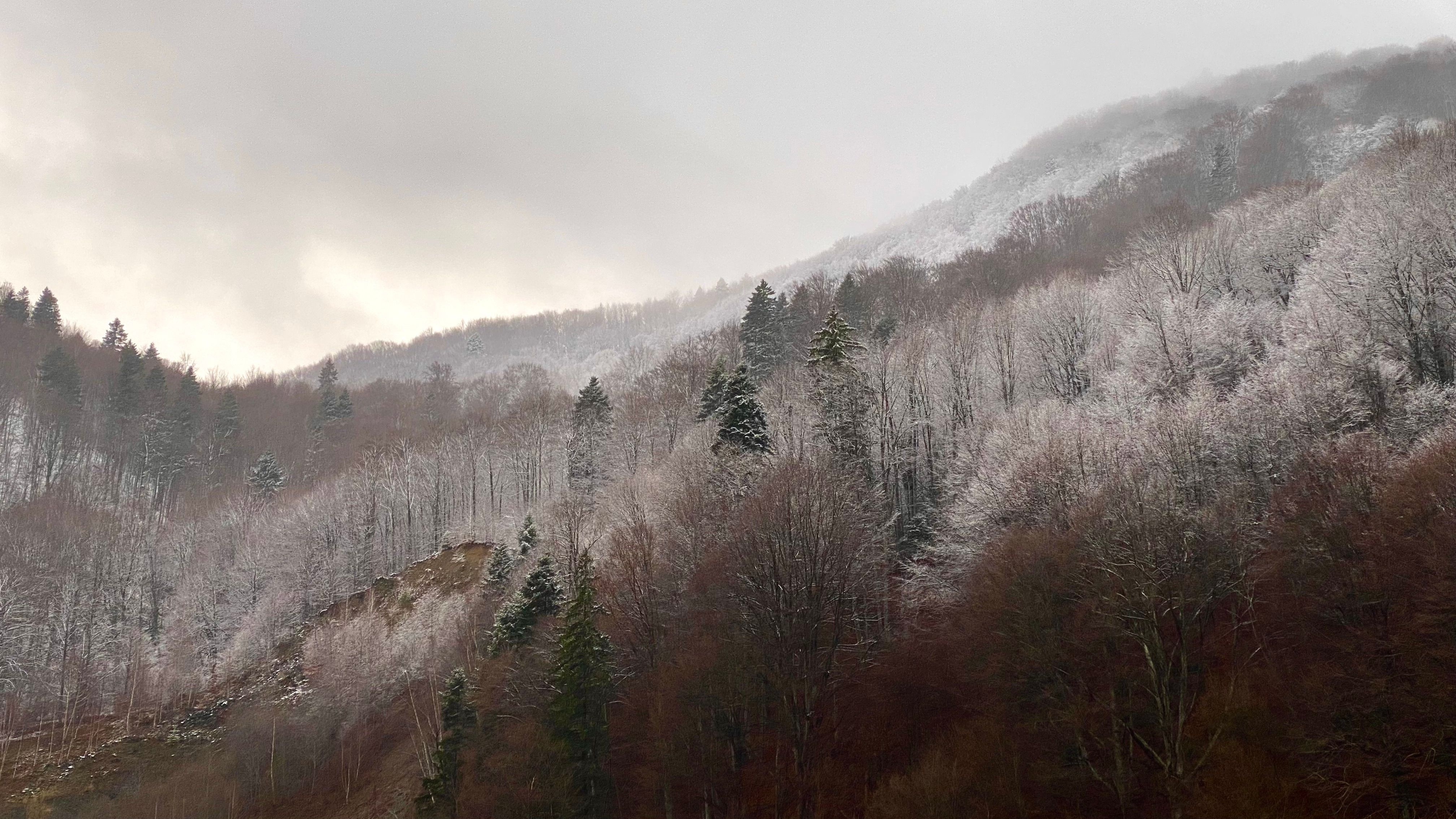 Rumänien Schloss Bran Dracula Burg